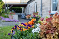 Garten-und-Aussenbereich