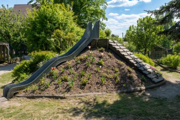 Natur-im-Garten