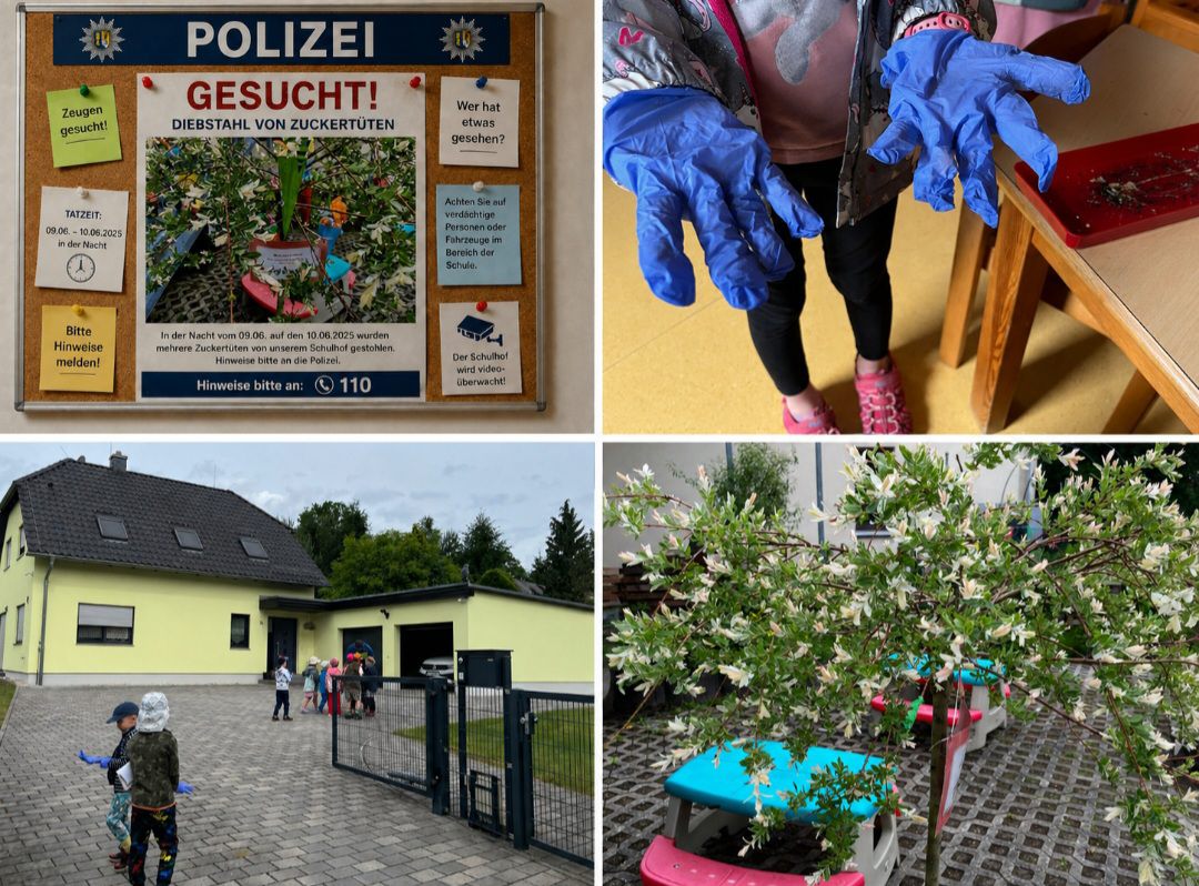 Vorschaubild