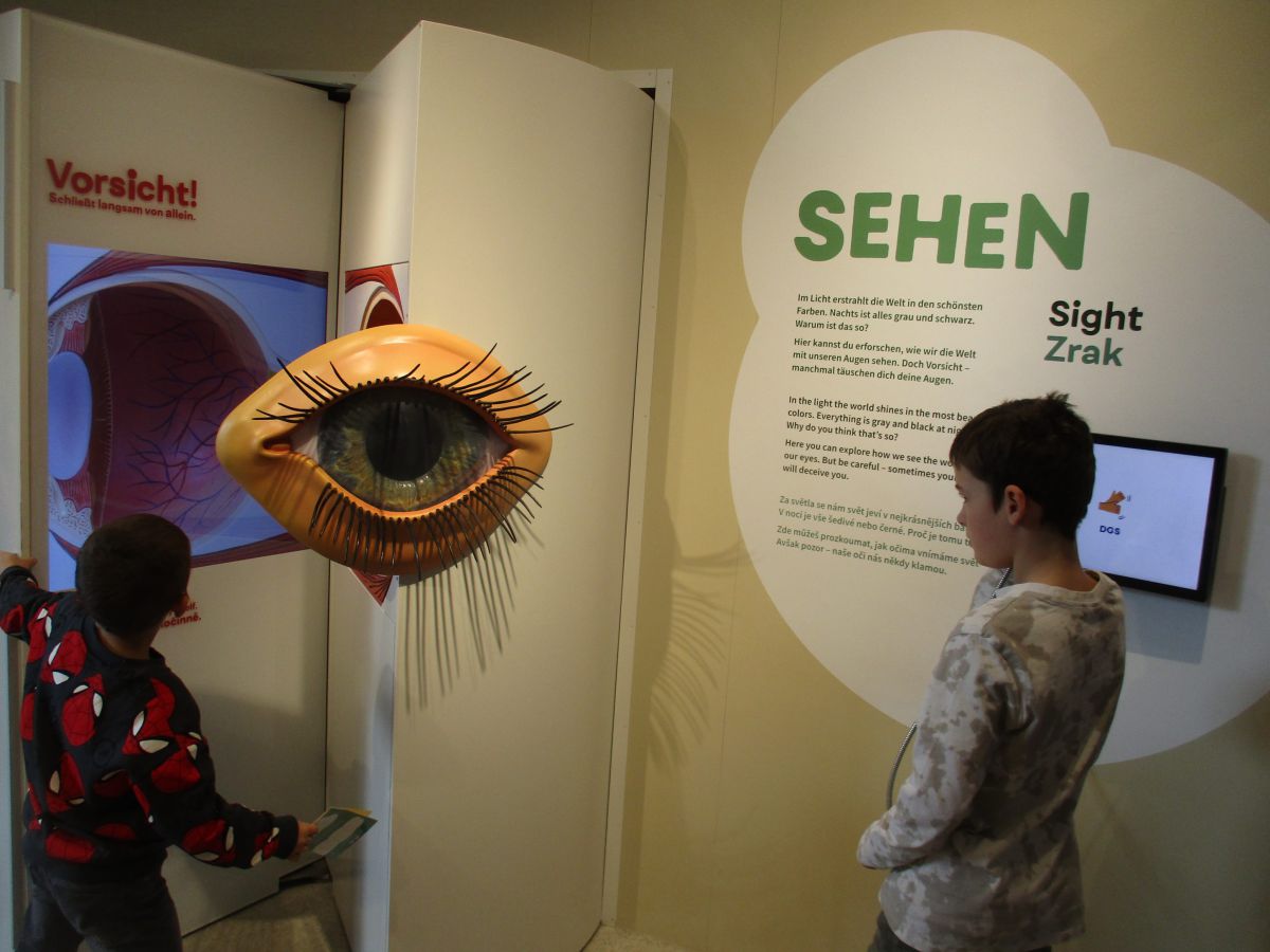 Vorschaubild